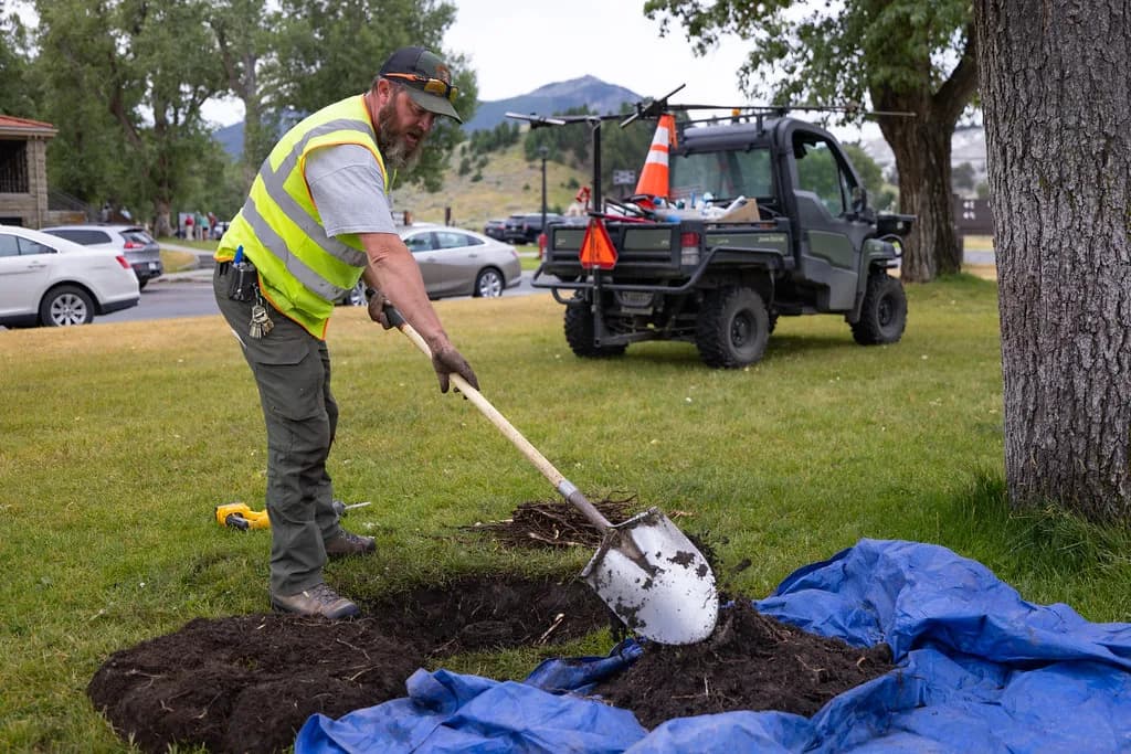Grounds maintenance worker in a high-visibility vest digging out a lawn sprinkler head to replace it